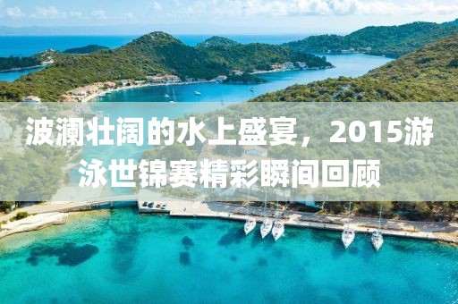 波澜壮阔的水上盛宴，2015游泳世锦赛精彩瞬间回顾