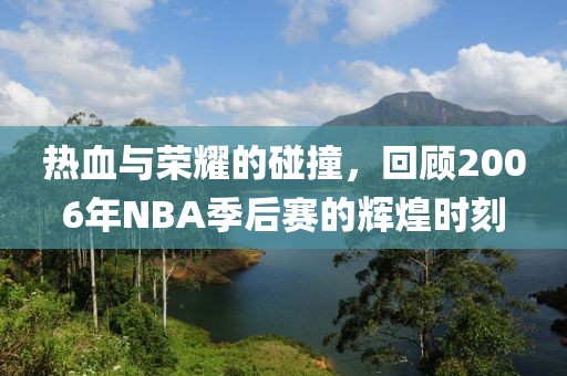 热血与荣耀的碰撞，回顾2006年NBA季后赛的辉煌时刻