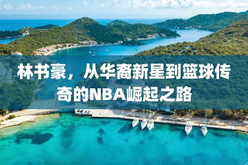 林书豪，从华裔新星到篮球传奇的NBA崛起之路