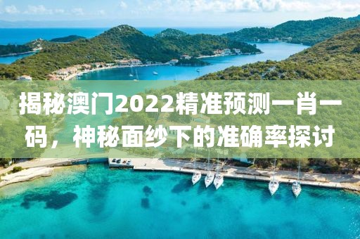 揭秘澳门2022精准预测一肖一码，神秘面纱下的准确率探讨