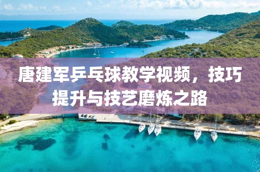 唐建军乒乓球教学视频，技巧提升与技艺磨炼之路