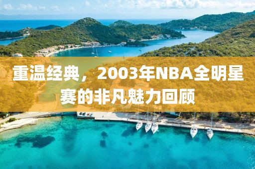 重温经典，2003年NBA全明星赛的非凡魅力回顾