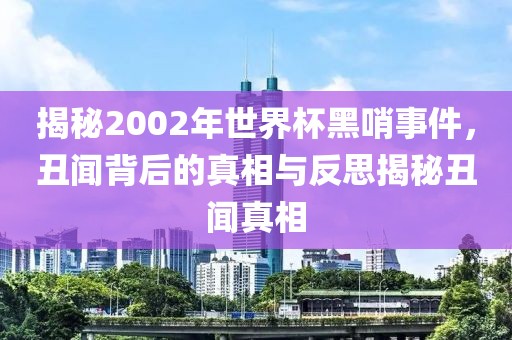 揭秘2002年世界杯黑哨事件，丑闻背后的真相与反思揭秘丑闻真相