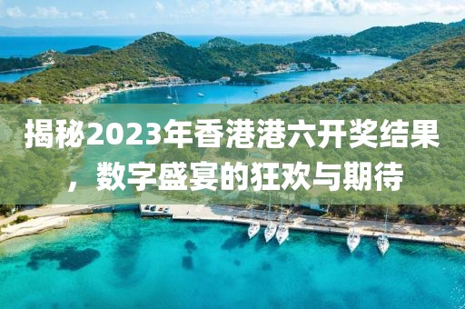 揭秘2023年香港港六开奖结果，数字盛宴的狂欢与期待