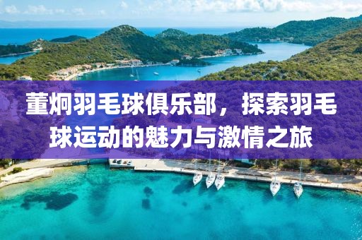 董炯羽毛球俱乐部，探索羽毛球运动的魅力与激情之旅