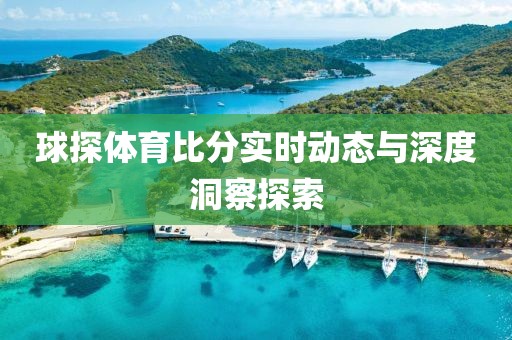 球探体育比分实时动态与深度洞察探索