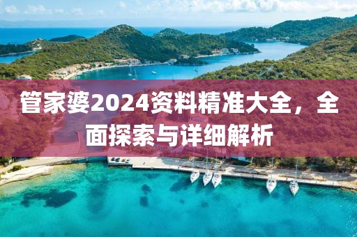 管家婆2024资料精准大全