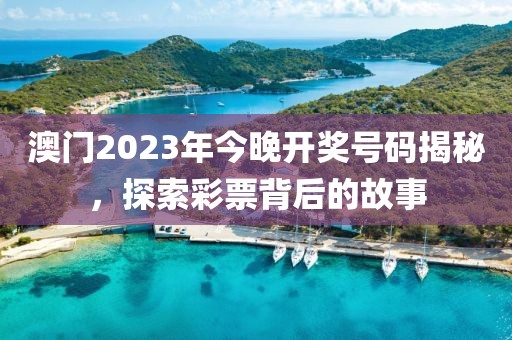 澳门2023年今晚开奖号码揭秘，探索彩票背后的故事