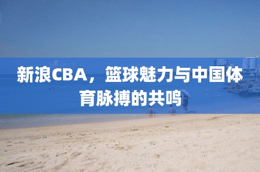 新浪CBA，篮球魅力与中国体育脉搏的共鸣