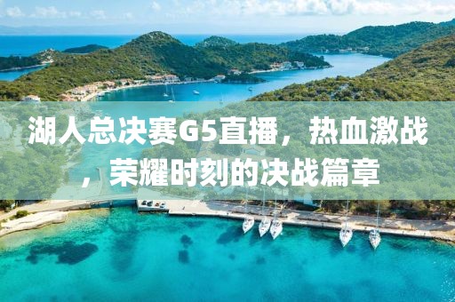 湖人总决赛G5直播，热血激战，荣耀时刻的决战篇章