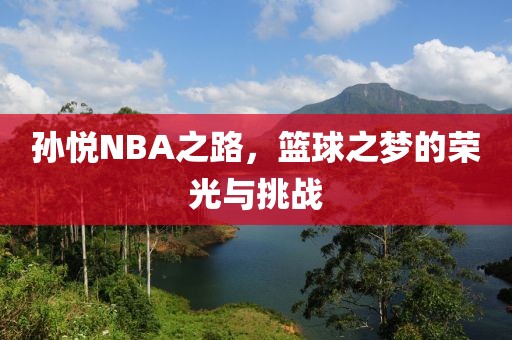 孙悦NBA之路，篮球之梦的荣光与挑战