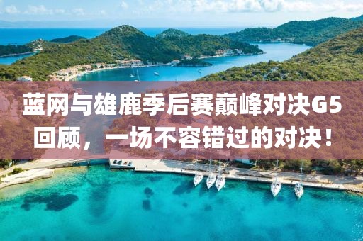 蓝网与雄鹿季后赛巅峰对决G5回顾，一场不容错过的对决！