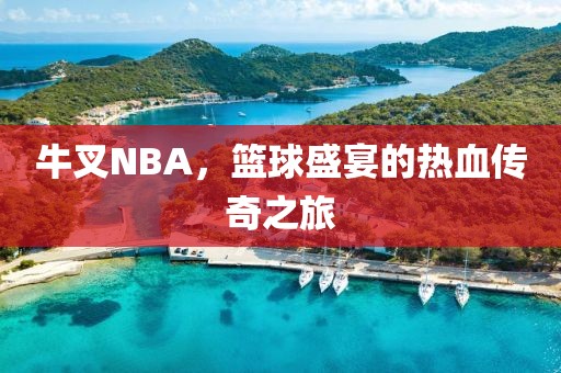 牛叉NBA，篮球盛宴的热血传奇之旅