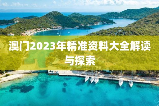 澳门2023年精准资料大全解读与探索