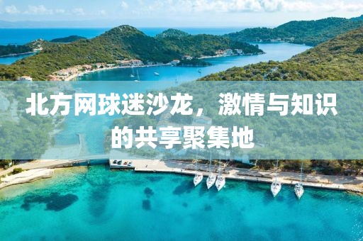 北方网球迷沙龙，激情与知识的共享聚集地