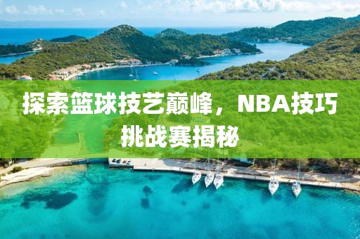 探索篮球技艺巅峰，NBA技巧挑战赛揭秘