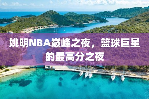 姚明NBA巅峰之夜，篮球巨星的最高分之夜