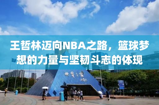 王哲林迈向NBA之路，篮球梦想的力量与坚韧斗志的体现